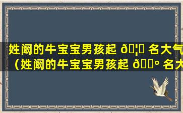 姓阚的牛宝宝男孩起 🦟 名大气（姓阚的牛宝宝男孩起 🐺 名大气的名字）